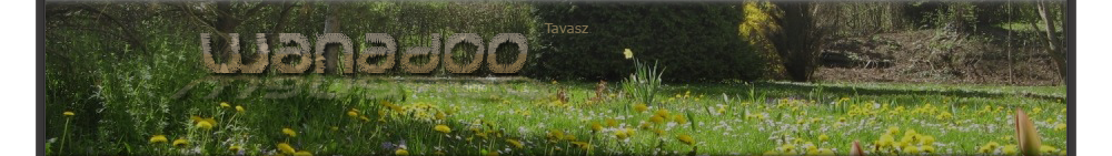 Banner Banner